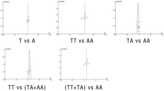 【佳学基因检测】基因检测CAV1 rs7804372 (T29107A) 多态性显示消化道癌的潜在风险